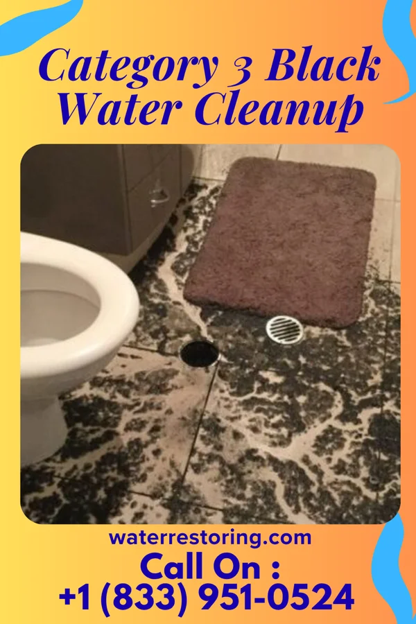 Category 3 Black Water Cleanup in Minturn, CO