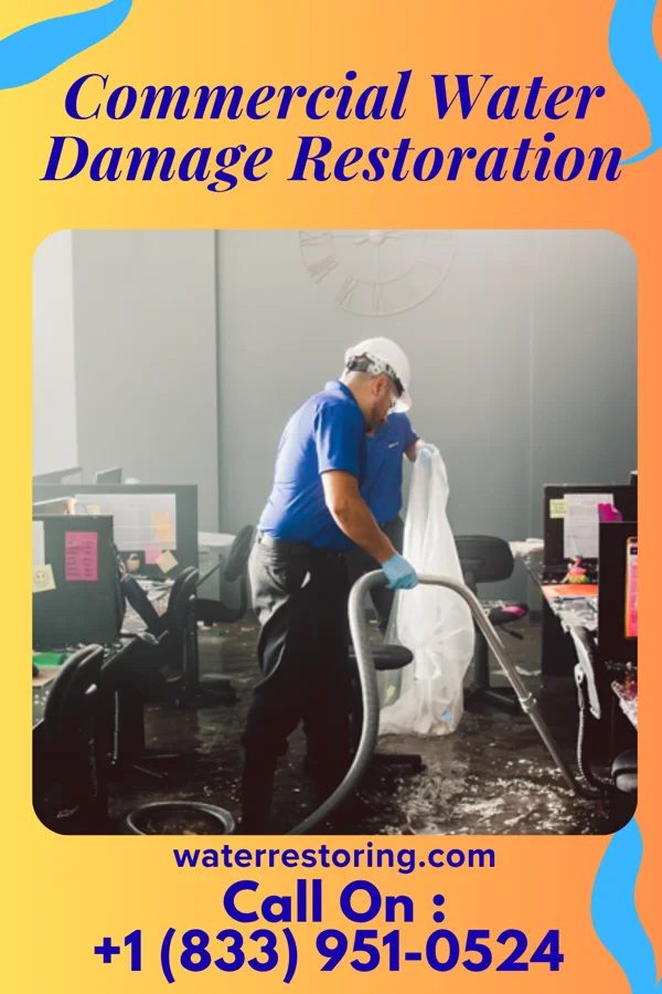 Commercial Water Damage Restoration in Minturn, CO